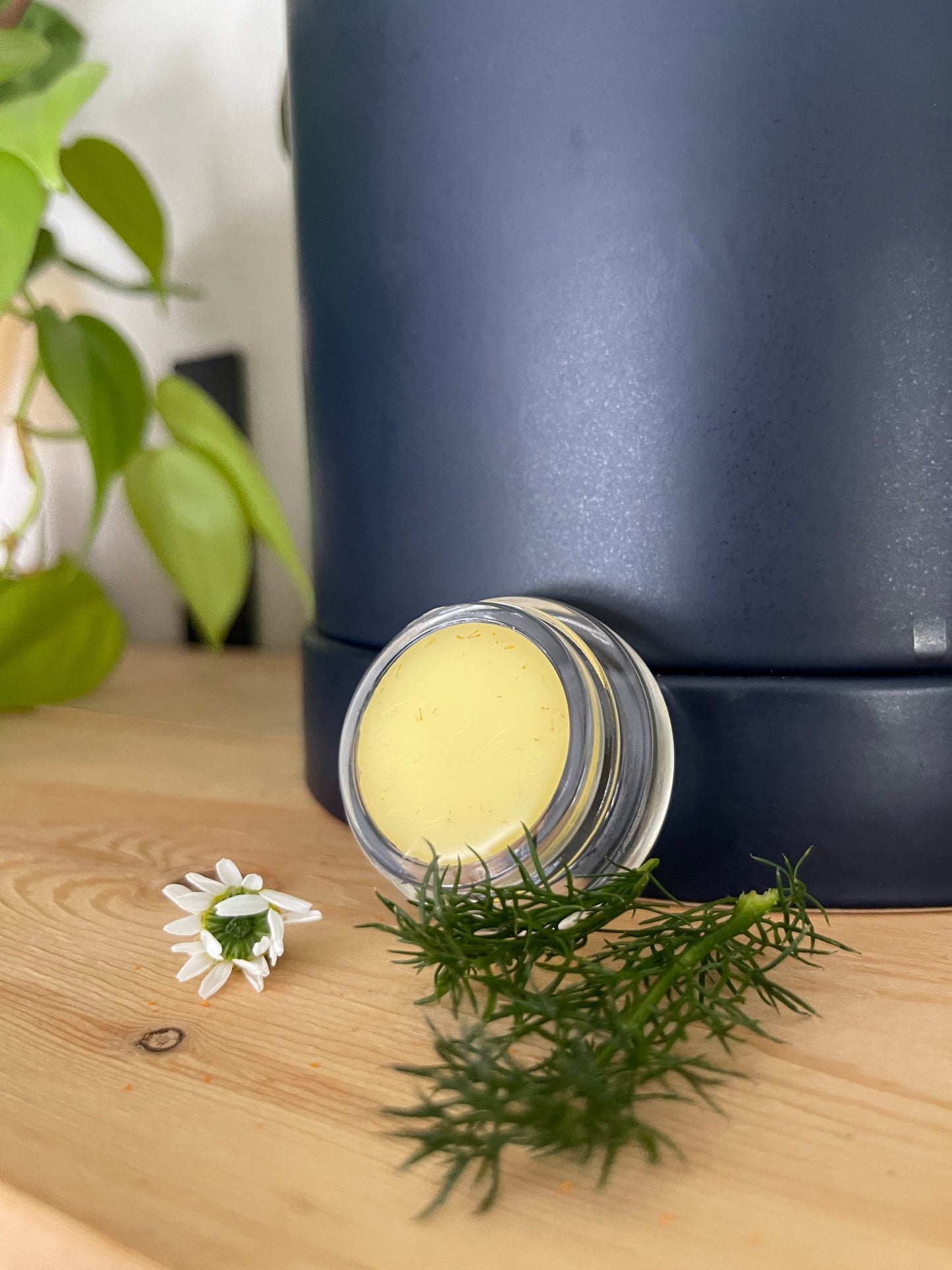 Nipple salve