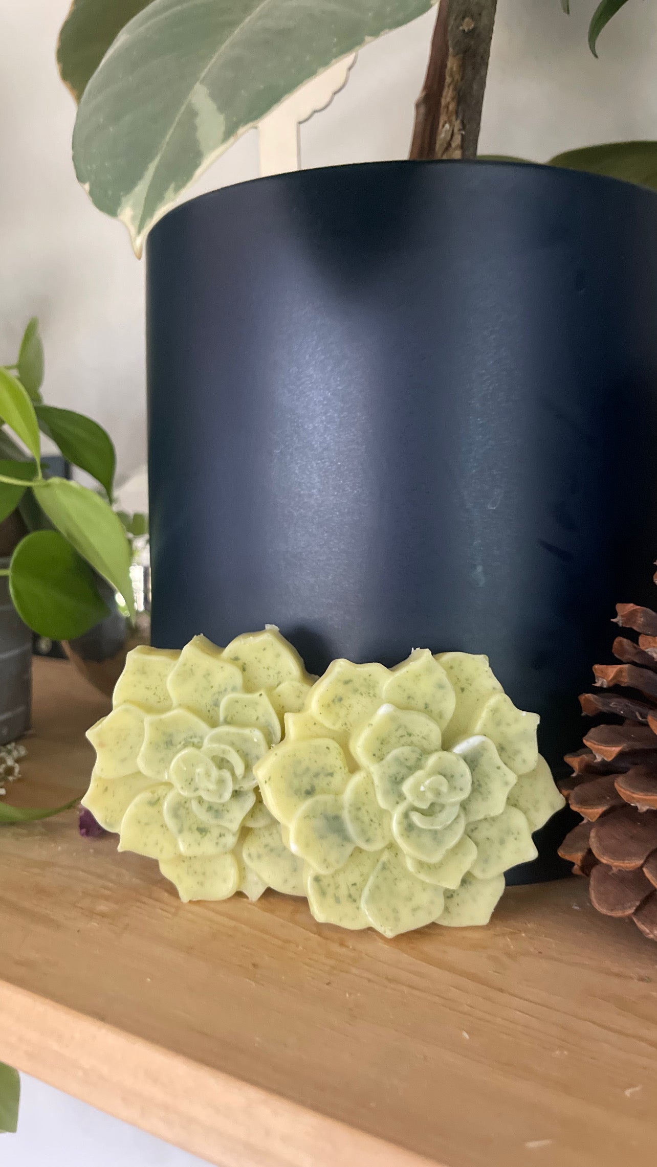 Herbal Lotion bar