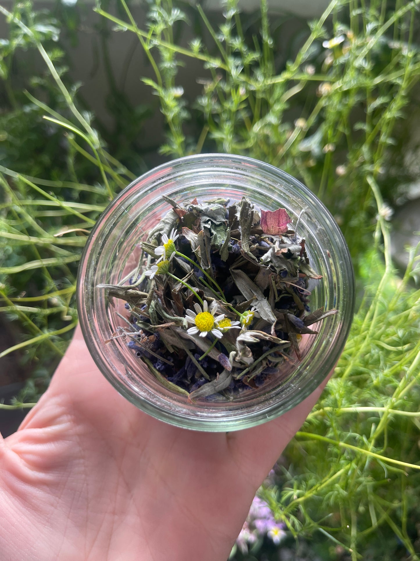 Sweet dreams herbal bath tea