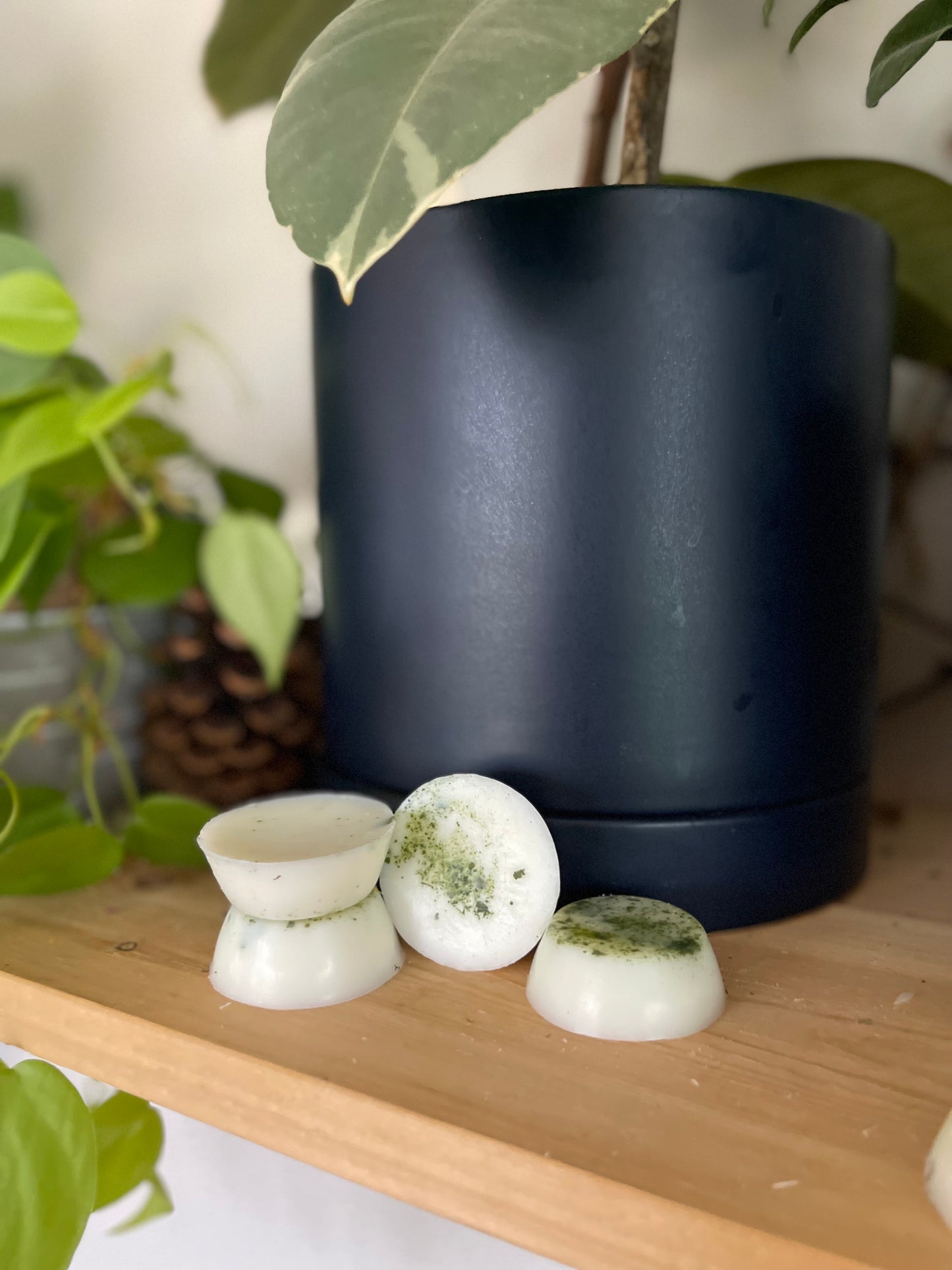 Lemon grass and Eucalyptus soy wax melts