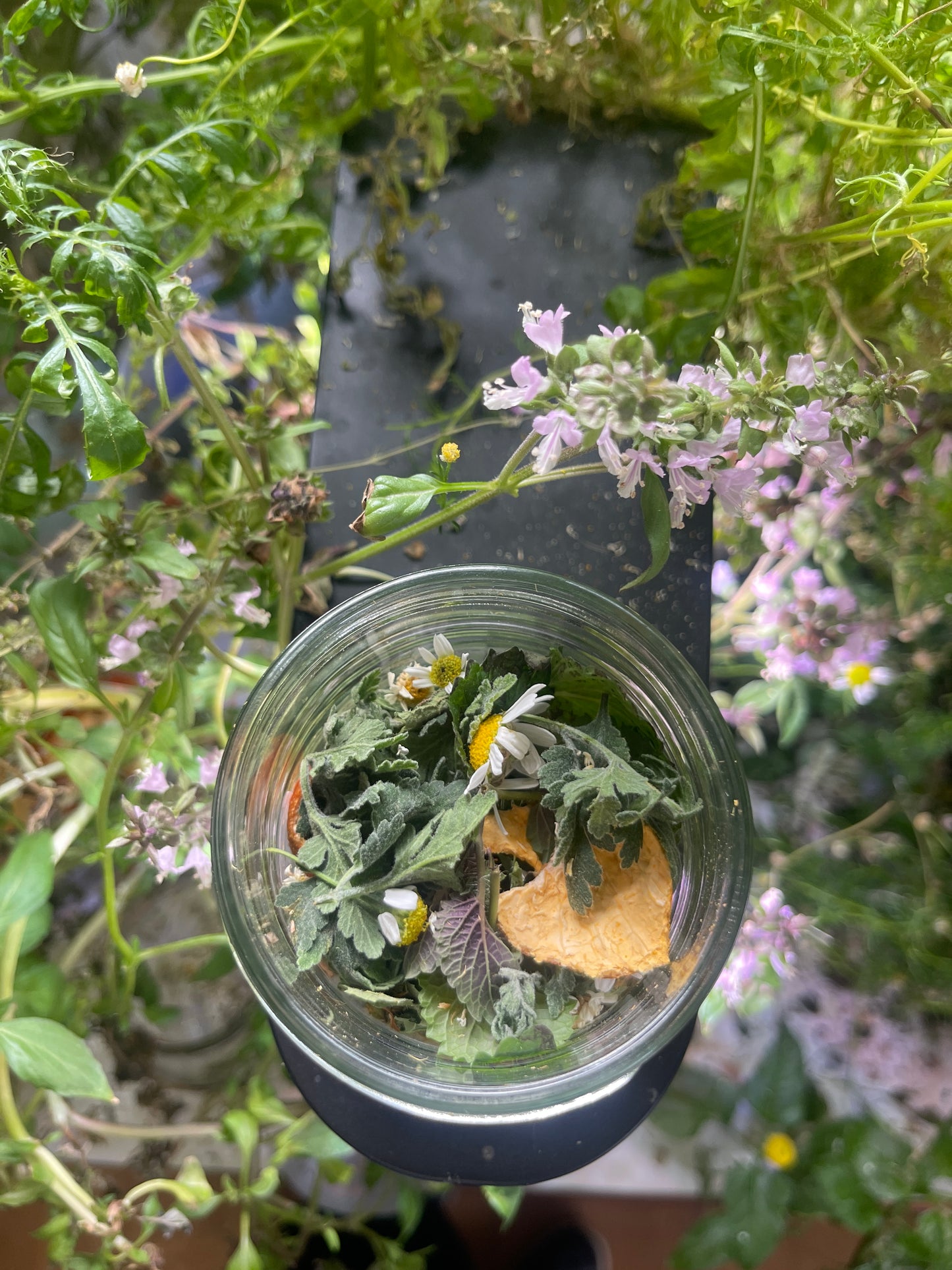 Serenity herbal bath tea
