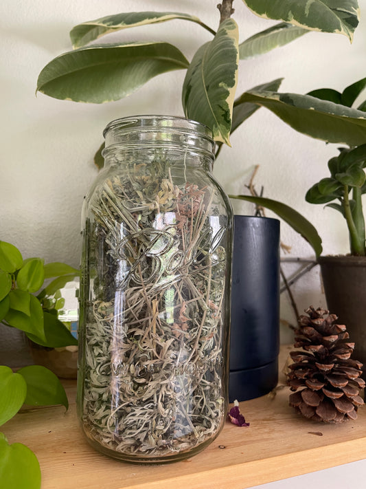 Wormwood