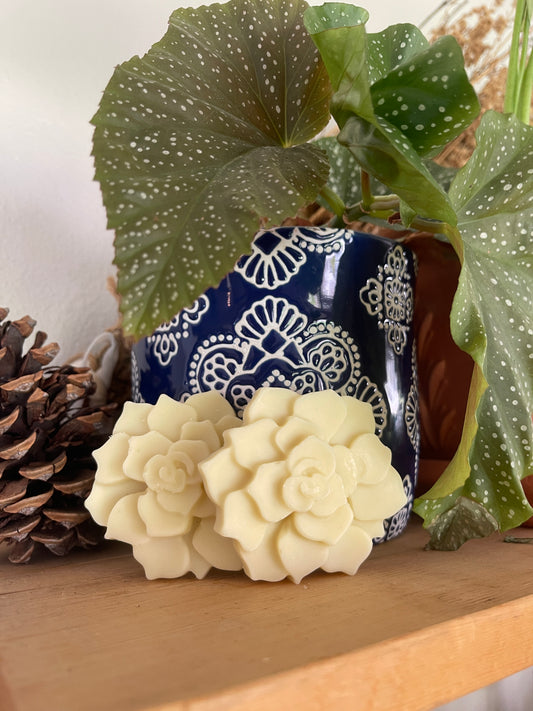 Pine & calendula lotion bars