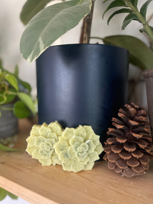 Herbal Lotion bar